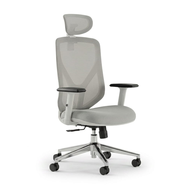 The Essential Ergonomic Office Chair