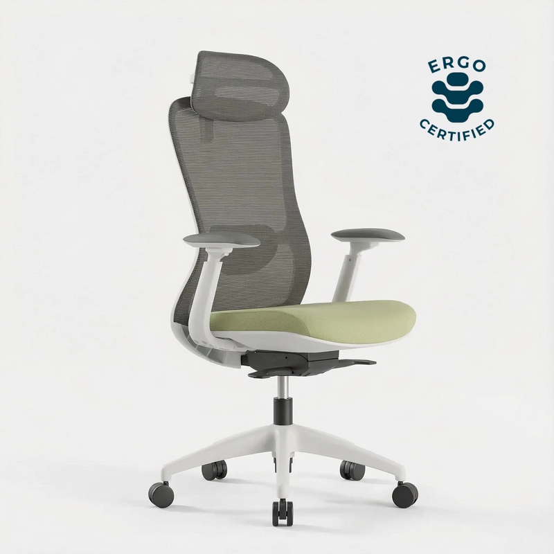 Ergonomic office chair with green seat and gray backrest on a white background, featuring Ergo certification logo.