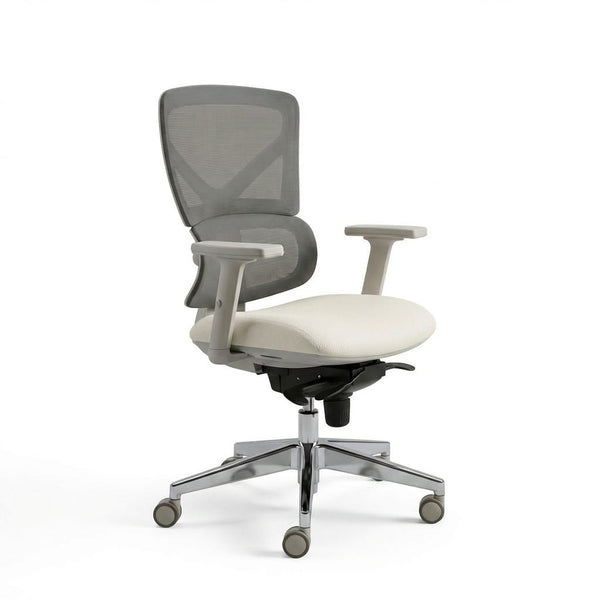 The Aura Ergonomic Chair - Workspace Dreams The Aura Ergonomic Chair