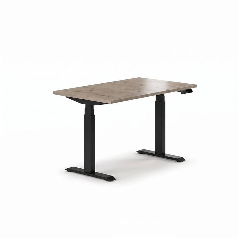 Workspace Dreams Sit-Stand Desk Pro Plus height-adjustable desk