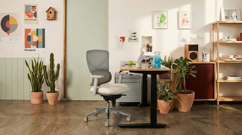 Aura Ergonomic Chair Review: The Best-Looking Office Chair in South Africa - Workspace Dreams