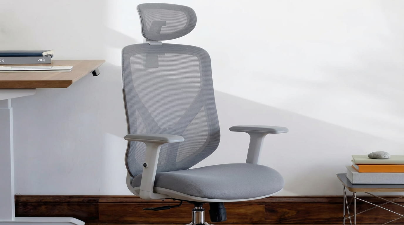 Ergonomic Office Chairs - Workspace Dreams 