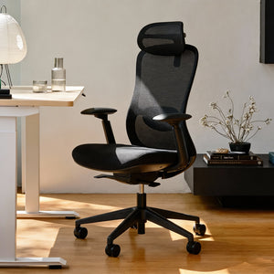 The Pro Flow Ergonomic Chair