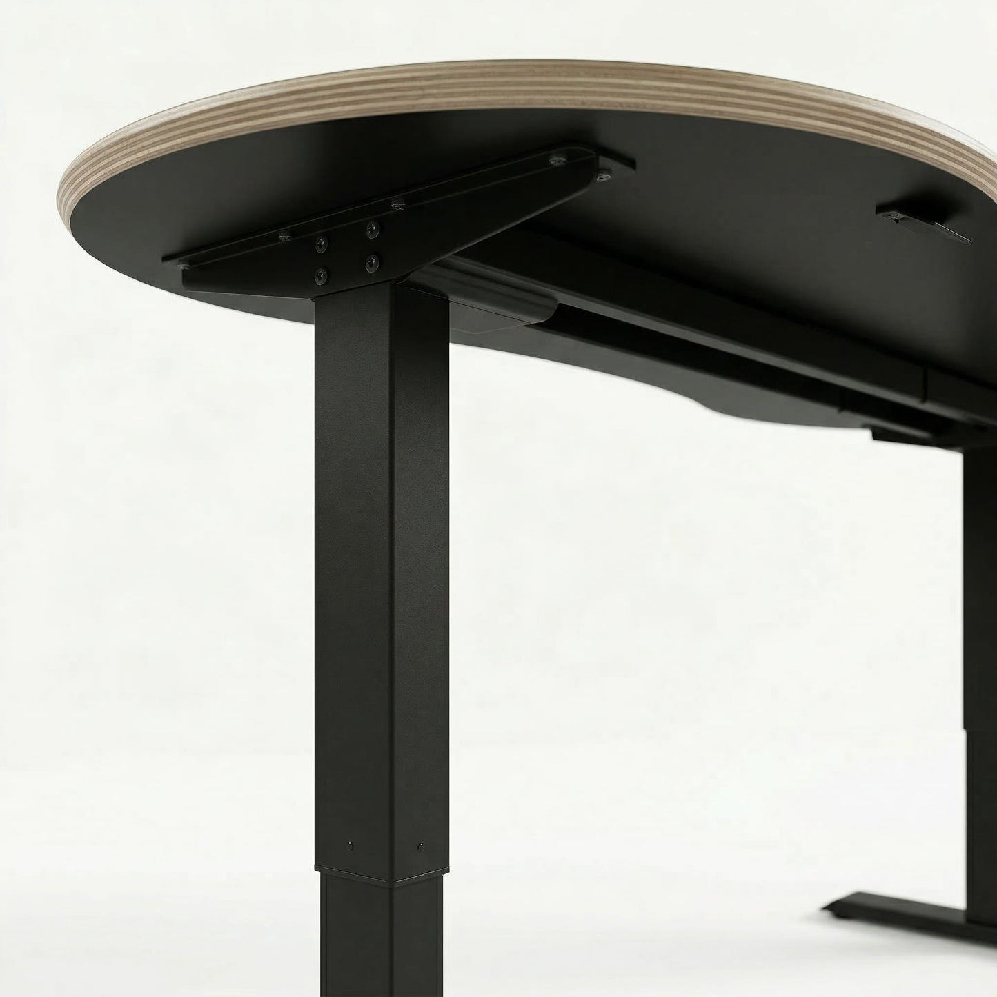 The Curve Standing Desk