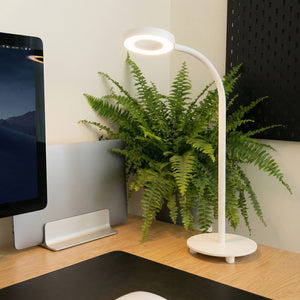 LED Desk Lamp