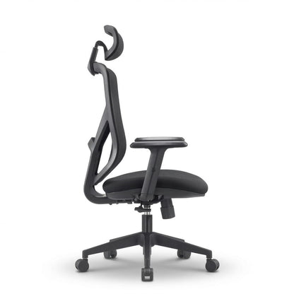 The Essential Ergonomic Office Chair