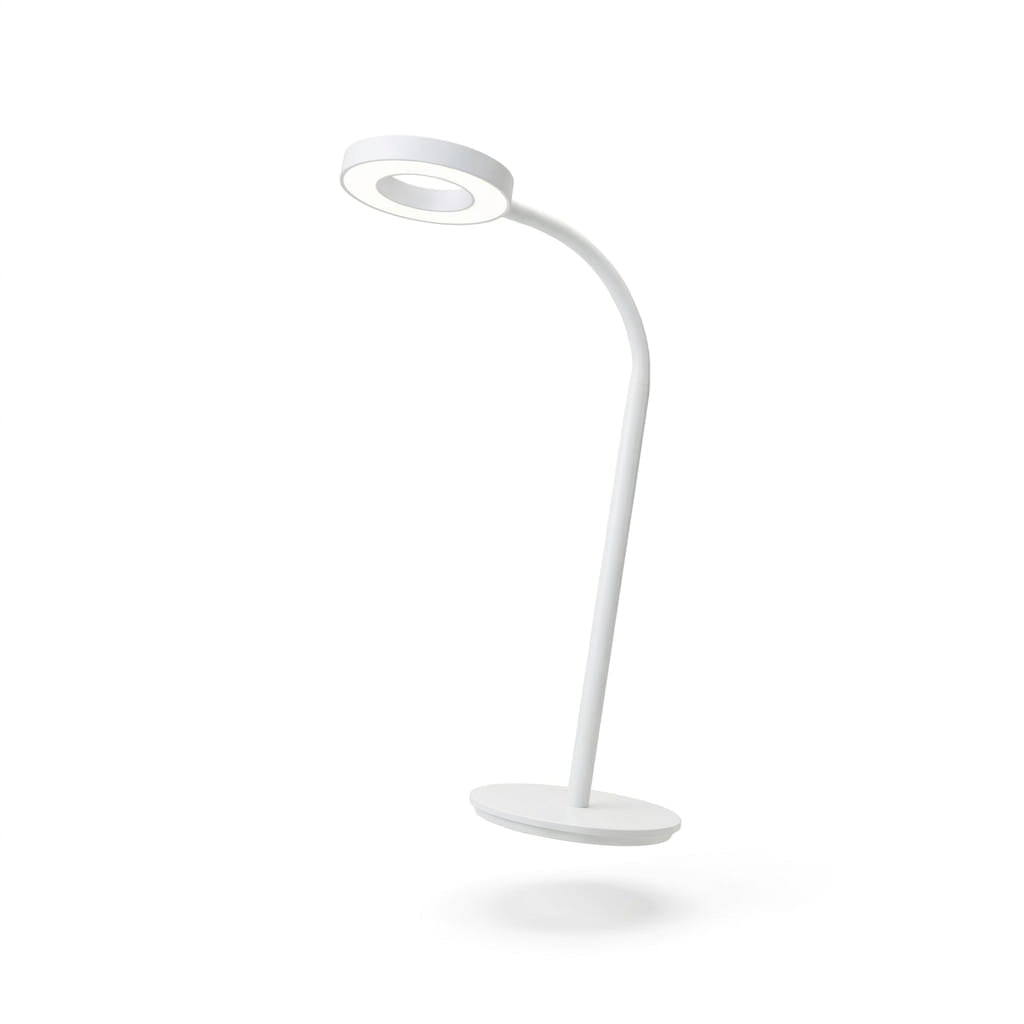 LED Desk Lamp