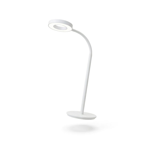 LED Desk Lamp
