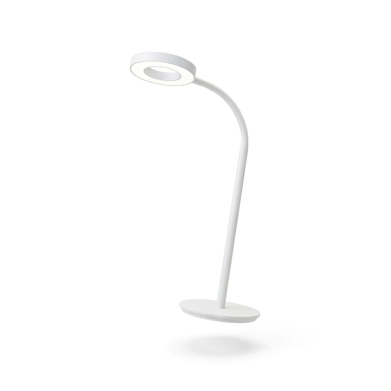 LED Desk Lamp