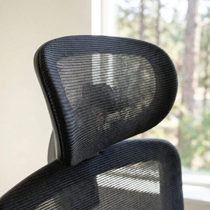 The Essential Ergonomic Office Chair