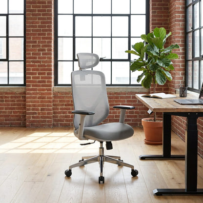 The Essential Ergonomic Office Chair