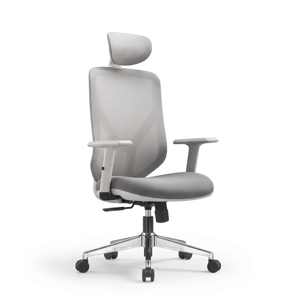 The Essential Ergonomic Office Chair