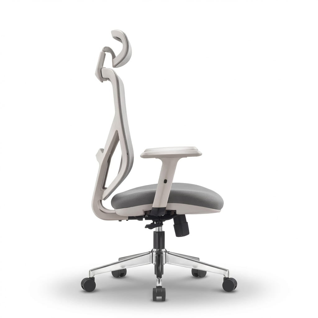 The Essential Ergonomic Office Chair