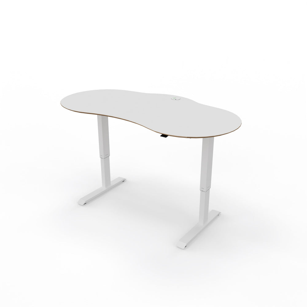 Sit-Stand Desk Executive