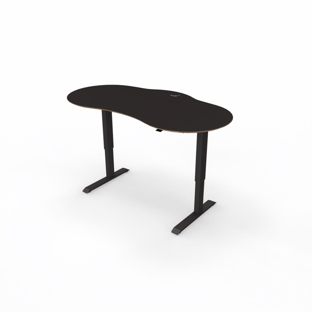 Sit-Stand Desk Executive