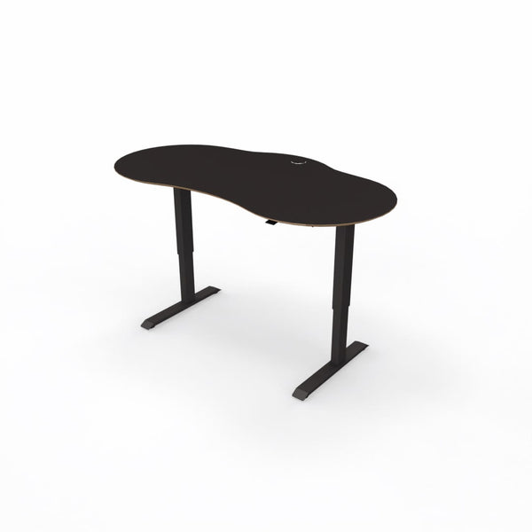 Sit-Stand Desk Executive