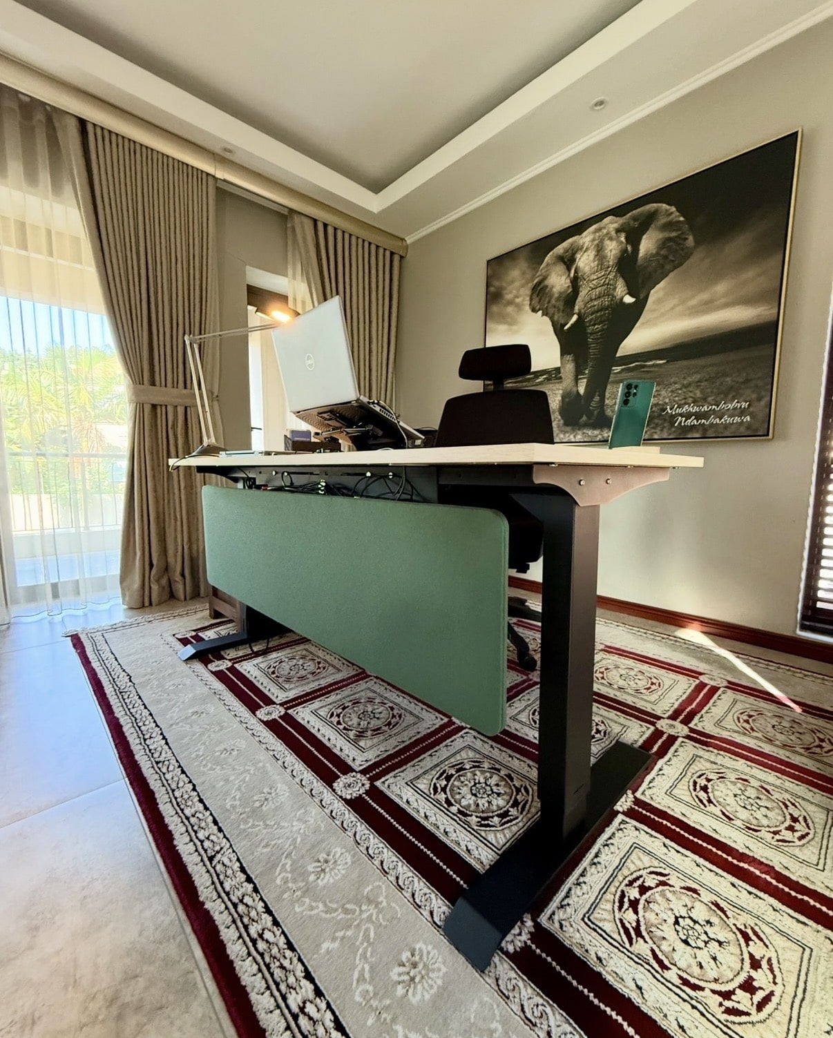 Modern home office with a height adjustable desk with a green privacy panel on the front, laptop on a stand, and elephant artwork on the wall.