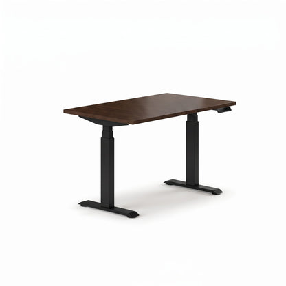 Sit-Stand Desk Pro Plus