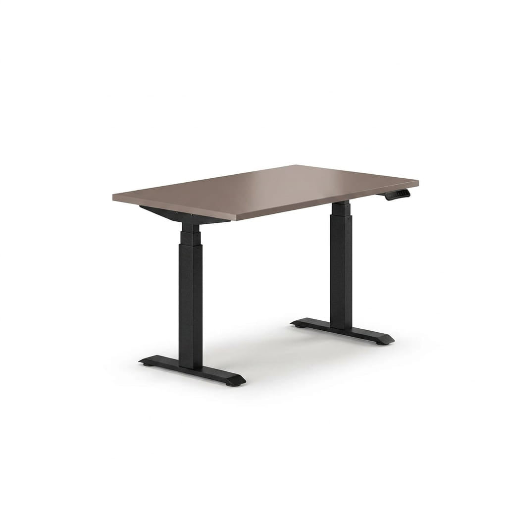 Sit-Stand Desk Pro Plus