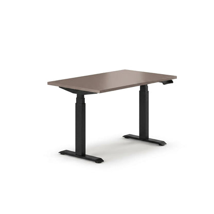 Sit-Stand Desk Pro Plus