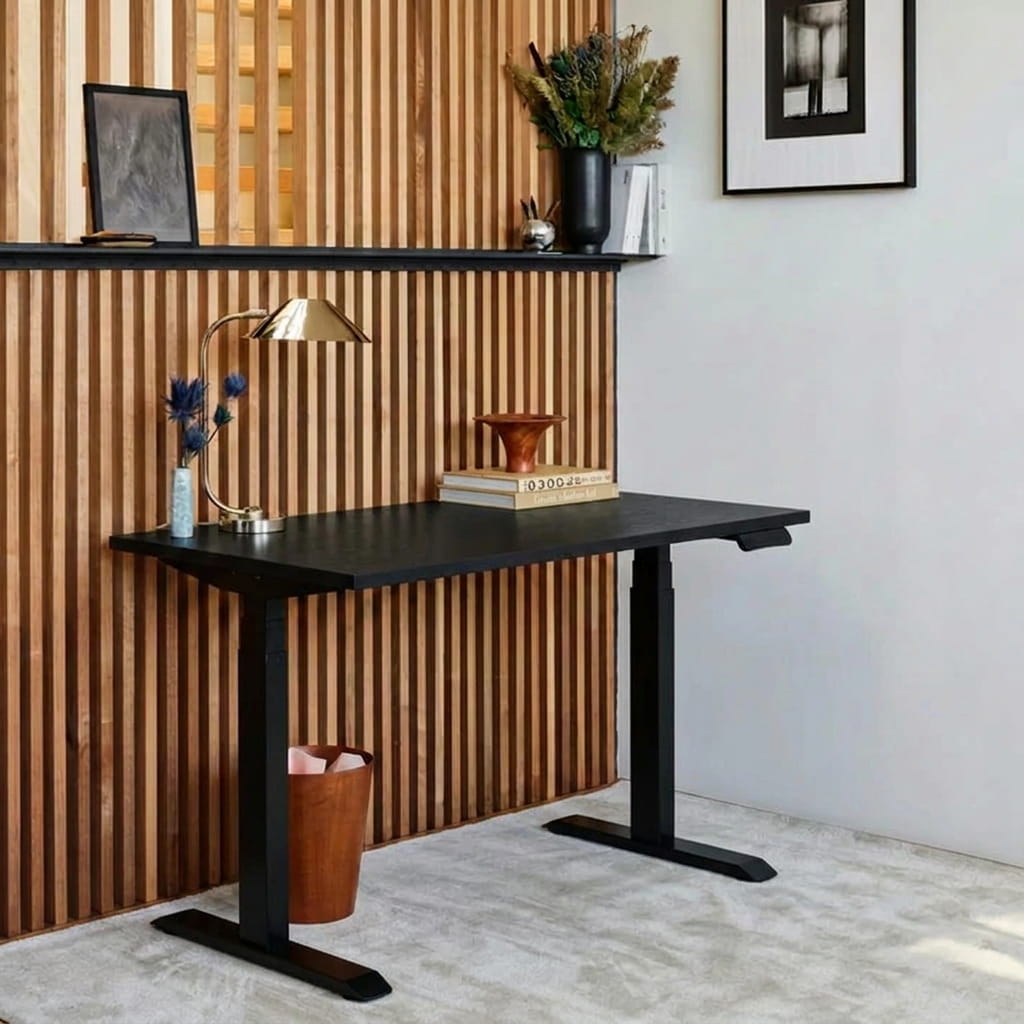 Sit-Stand Desk Pro Plus