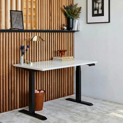 Sit-Stand Desk Pro Plus
