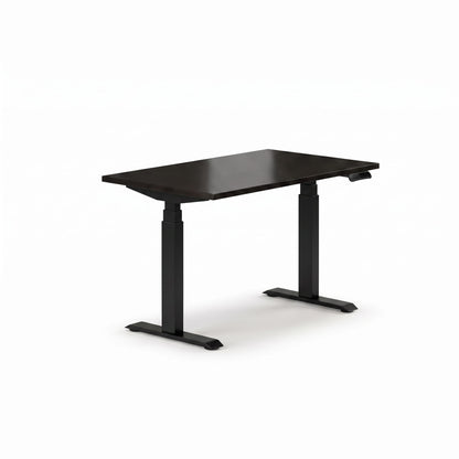 Sit-Stand Desk Pro Plus
