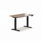 Sit-Stand Desk Pro Plus