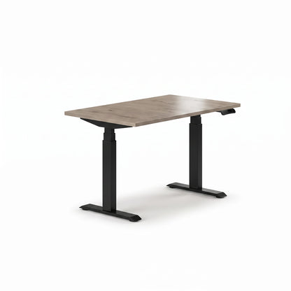 Sit-Stand Desk Pro Plus