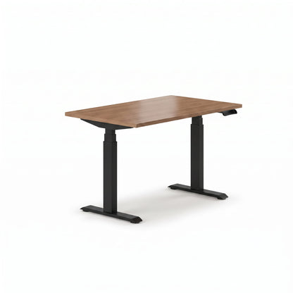 Sit-Stand Desk Pro Plus