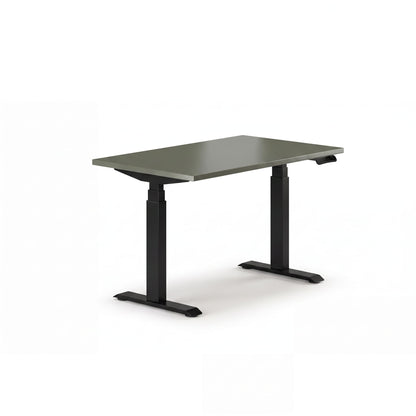 Sit-Stand Desk Pro Plus