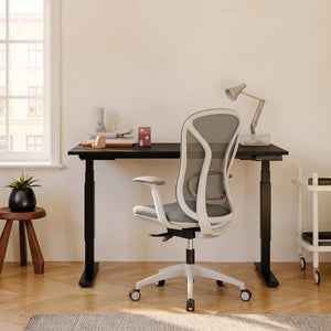The Pro Flow MAX Ergonomic Chair