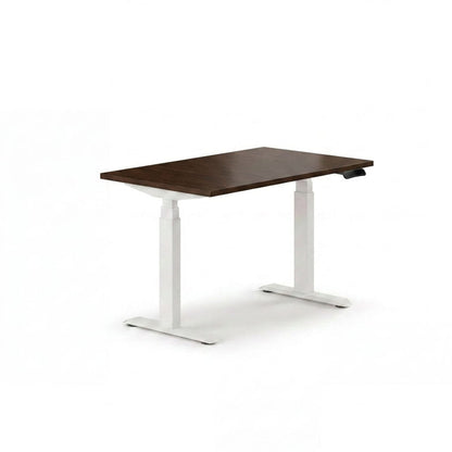 Sit-Stand Desk Pro Plus
