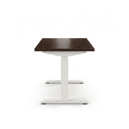 Sit-Stand Desk Pro Plus