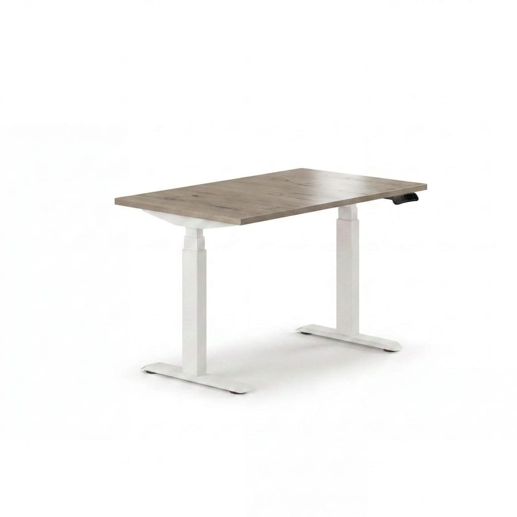 Sit-Stand Desk Pro Plus