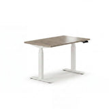 Sit-Stand Desk Pro Plus