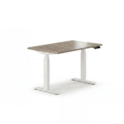 Sit-Stand Desk Pro Plus