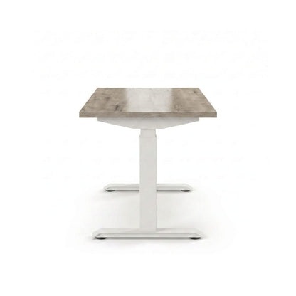 Sit-Stand Desk Pro Plus