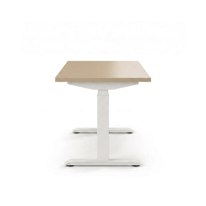 Sit-Stand Desk Pro Plus