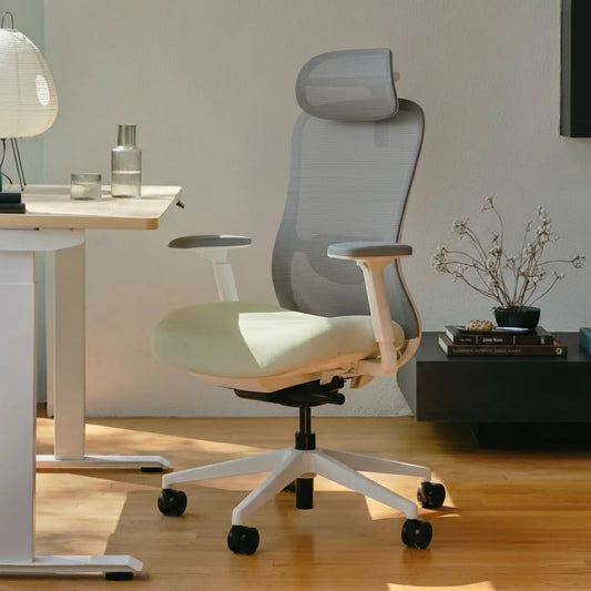 Ergonomic office chair in a modern office setting with a desk and decor.