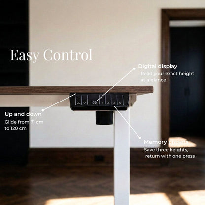 Sit-Stand Desk Lite