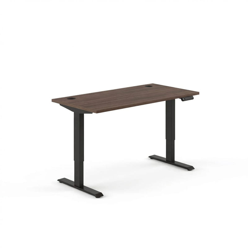 Sit-Stand Desk Pro