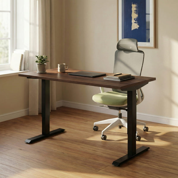 Home office with a sit stand desk, ergonomic chair, and decor elements.