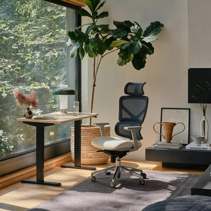 The Aura Ergonomic Chair