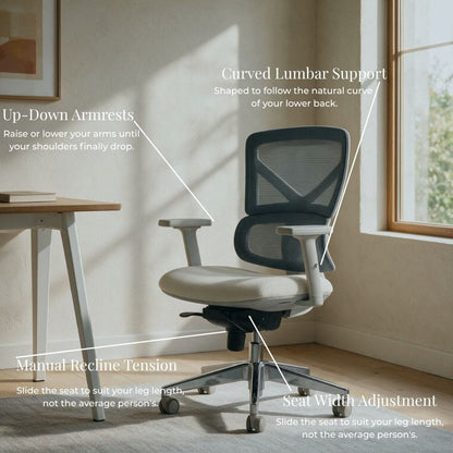 The Aura Ergonomic Chair
