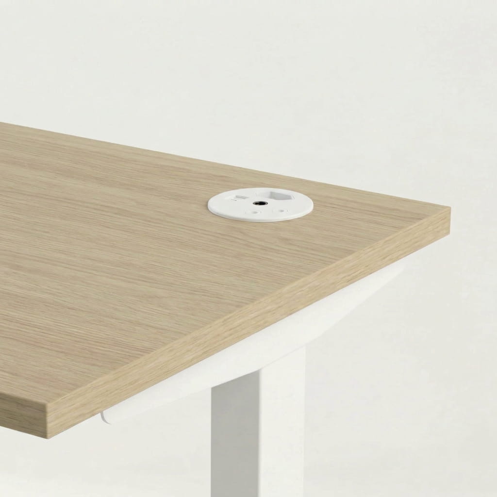 White in-desk power module with SA sockets and USB ports