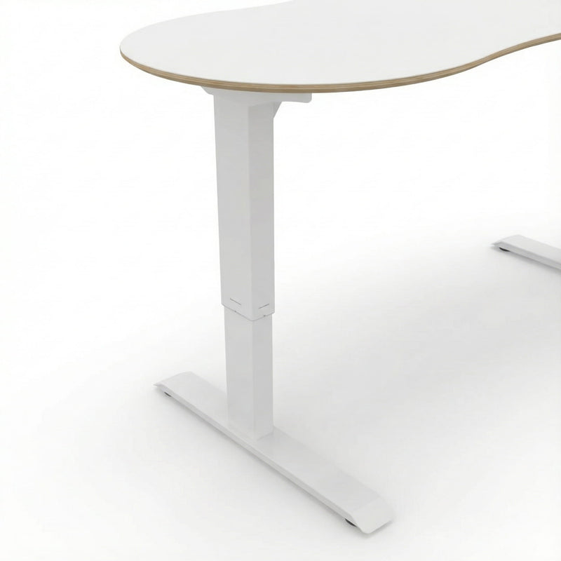 Close up shot of height adjustable desk with a birch plywood top in a white studio background