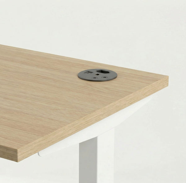 In-desk power module with SA sockets and USB charging ports