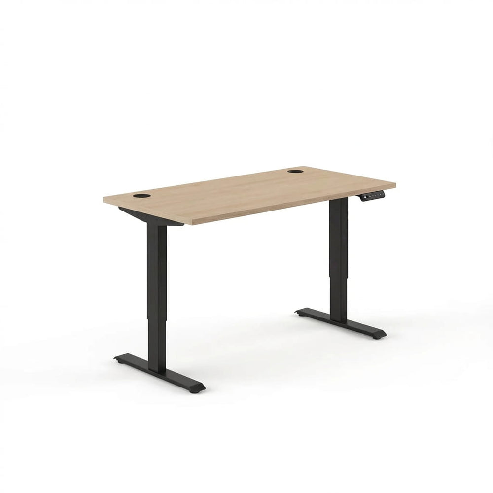 Sit-Stand Desk Pro