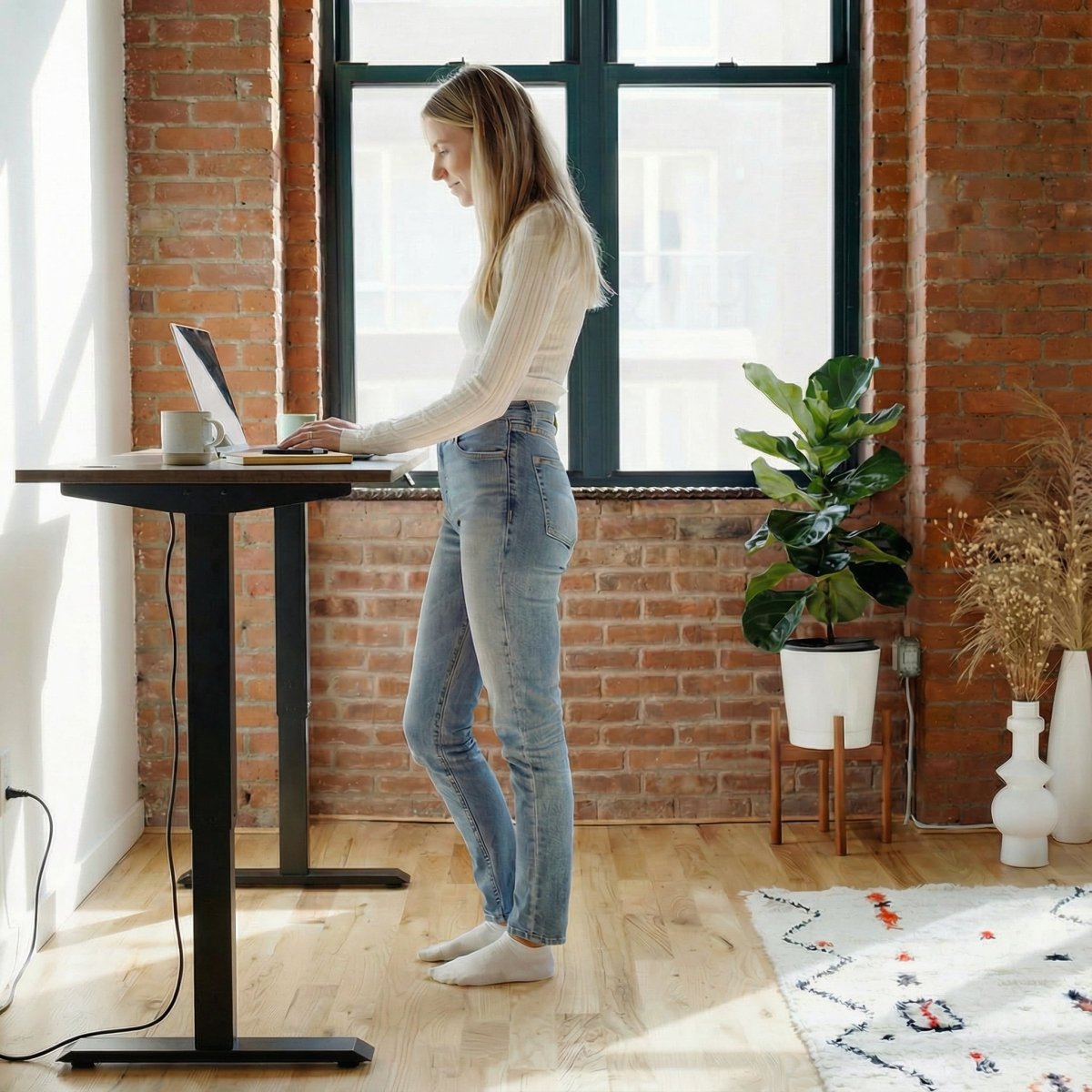 Sit-Stand Desk Pro - Workspace Dreams Sit-Stand Desk Pro